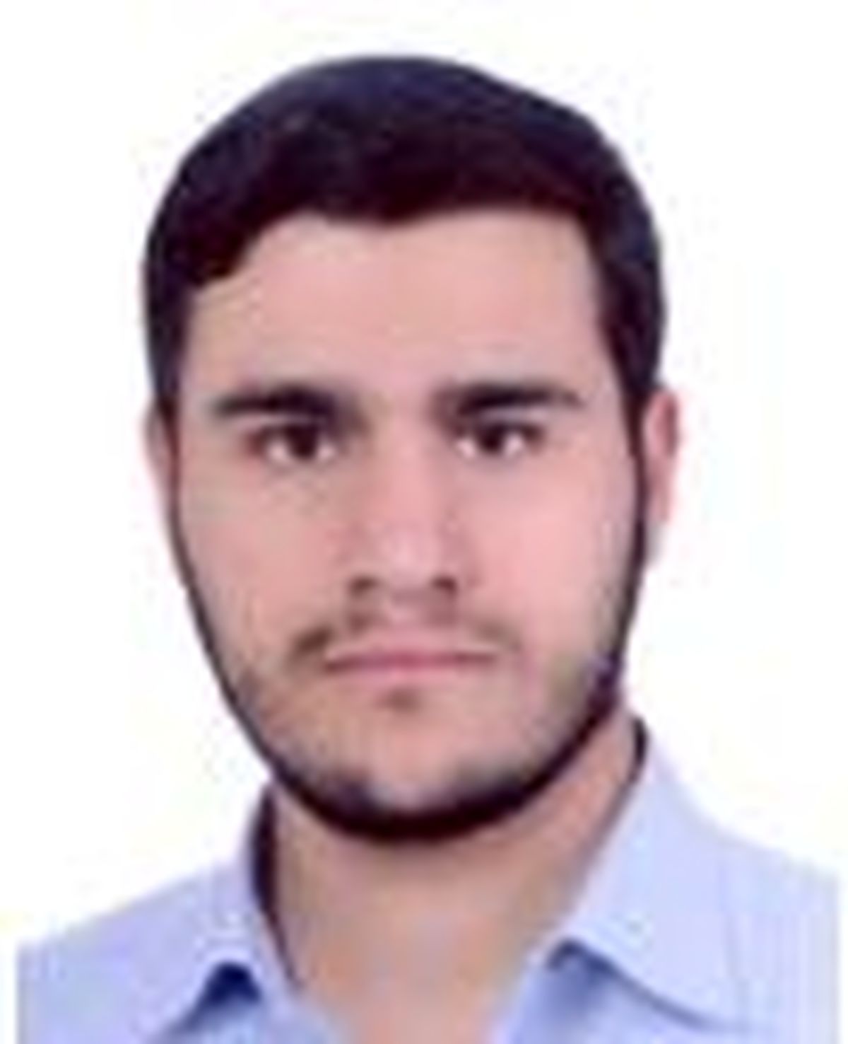 بصیرت بصری
