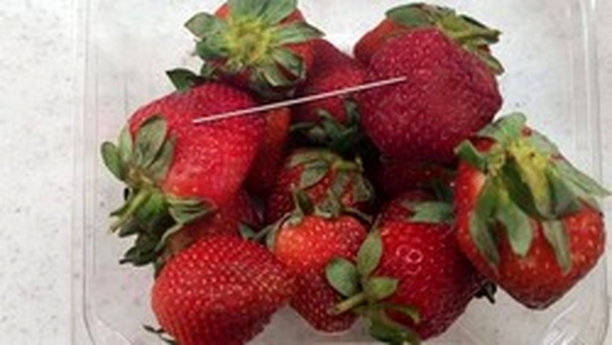 حمله تروریستی با سوزن!