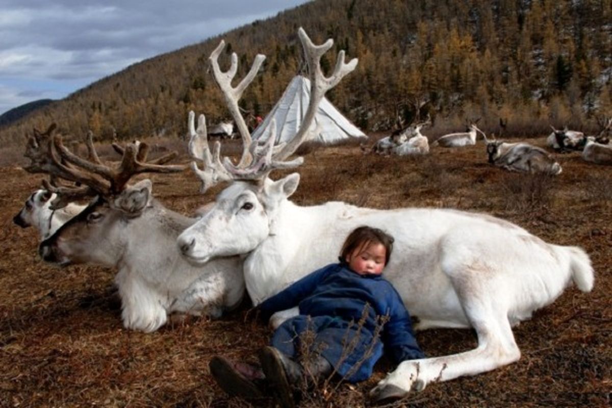 خواب راحت/ عکس