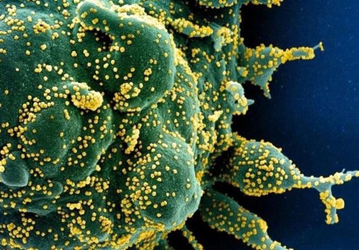 کرونا در اروپا/آلمان در آستانه تمدید قرنطینه سراسری