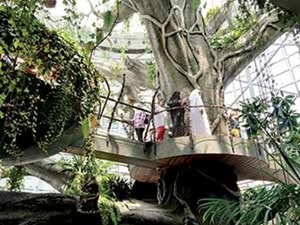 عکس: بزرگ‌ترین جنگل مصنوعی در دوبی!