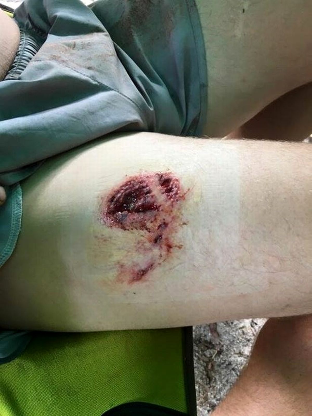 نبرد تن به تن با کوسه به سبک وسترن +تصاویر