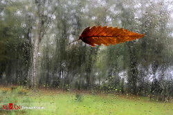 شمال و جنوب کشور بارانی می‌شود