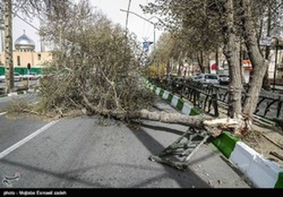 هشدار؛ وزش «باد شدید» در نیمه شرقی کشور