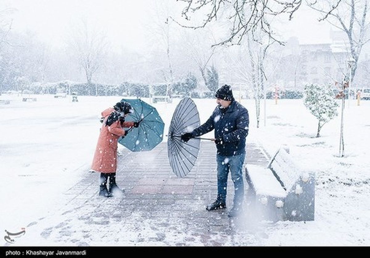 تصاویر: بارش برف در رشت
