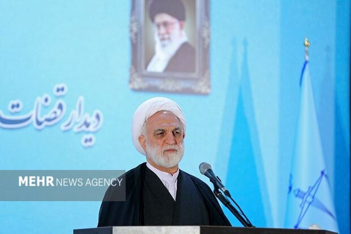 اژه‌ای: حجم زیاد کار برای یک قاضی نمی‌تواند استمرار داشته باشد